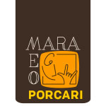 mara-meo-lucca